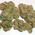 Afgan Kush, Purple Haze, Sour Diesel, Purple Kush and White Widow
