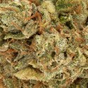 Blueberry, Sour Diesel, Purple Kush, White Widow, OG Kush, etc for sale
