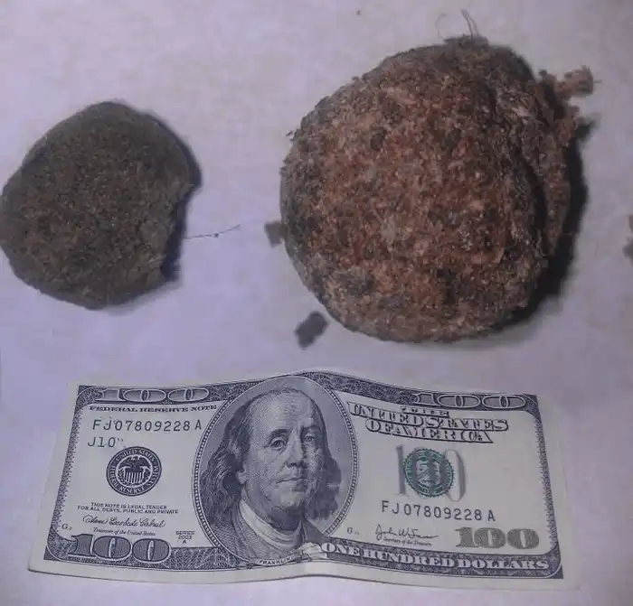 Hash and Kief