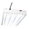 clonelight fluorescent grow lights clone
