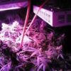 led led marijuana grow light indoor