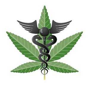 medical marijuana growers insurnace