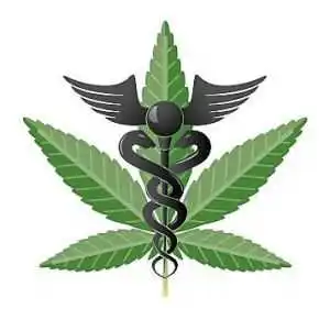 Marijuana Growers Insurance