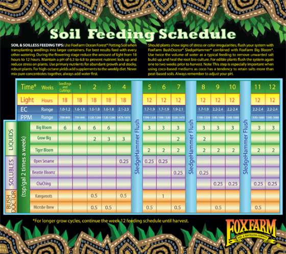 Autoflower feeding schedule fox farm