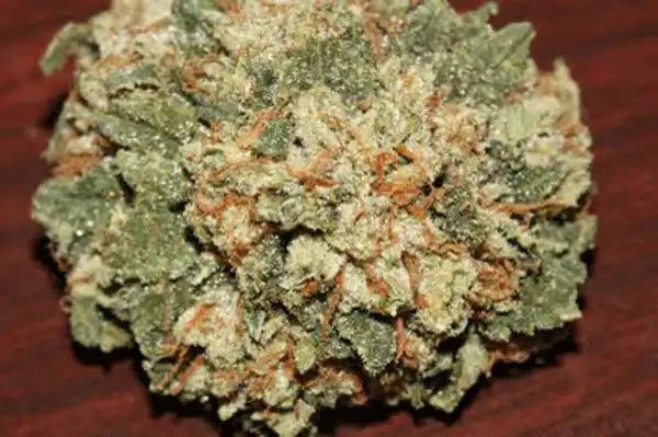 Diablo Sativa