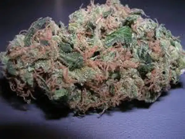 NYC Diesel