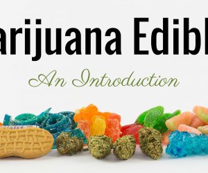 step by step guide to marijuana edibles