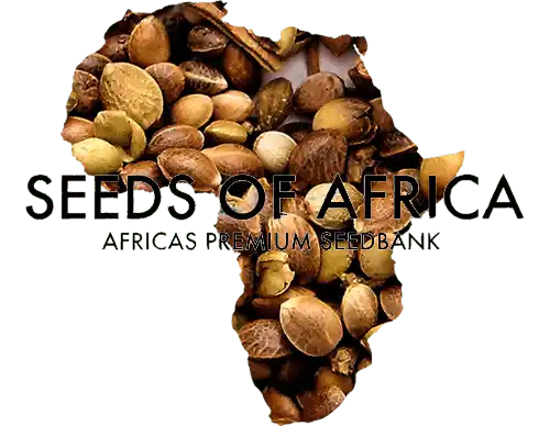 African Seeds