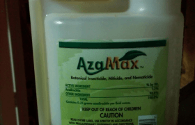 azamax