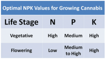 best npk ratio cannabis nutrients