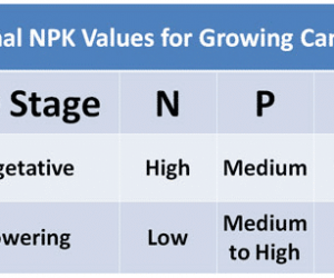 best npk ratio cannabis nutrients