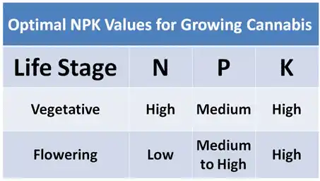 NPK Ratios Explained