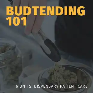 Cannabis Budtender Certification 101