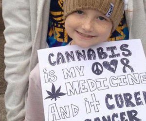 cannabis cancer cure
