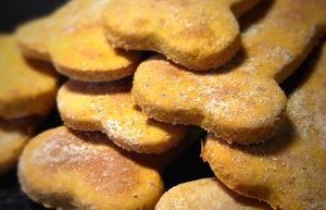 cannabis-infused-dog-treats cannabis infused dog treats