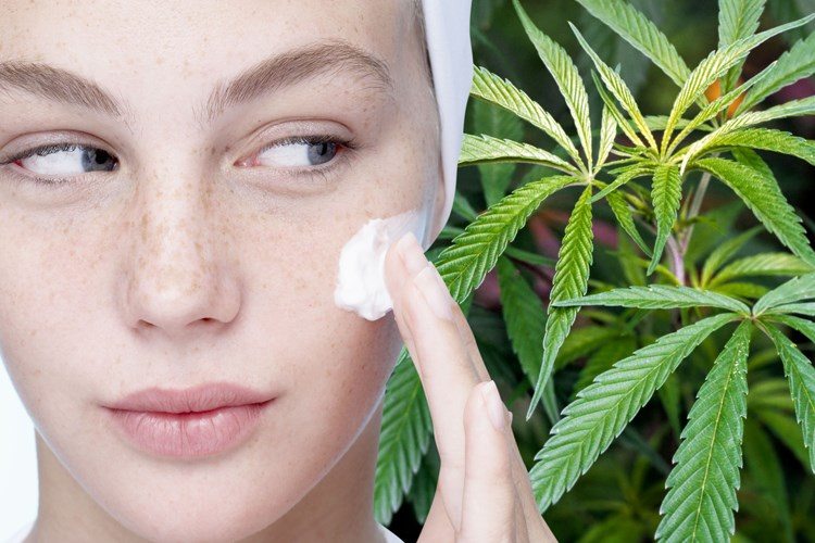cannabis oil acne treatment