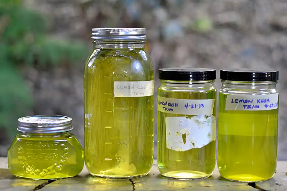 Cannabis Oil for Common Health Problems
