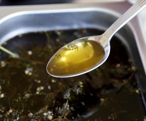 Best Make Your Own Cannabis Oil Recipe | Ultimate Cannabis Edible Guide cannabis recipe