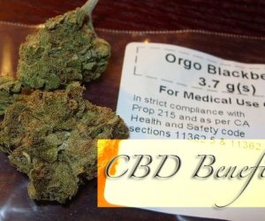 What is CBD Cannabidiol & Does it work