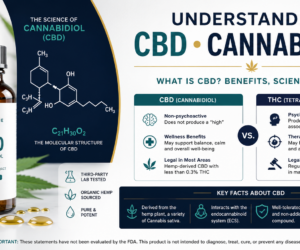 CBD Explained: Benefits, Uses & Cannabidiol Guide