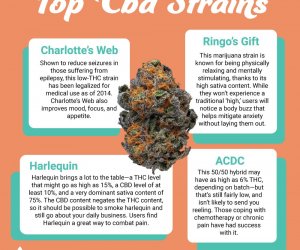 CBD Dominant Cannabis Recipes