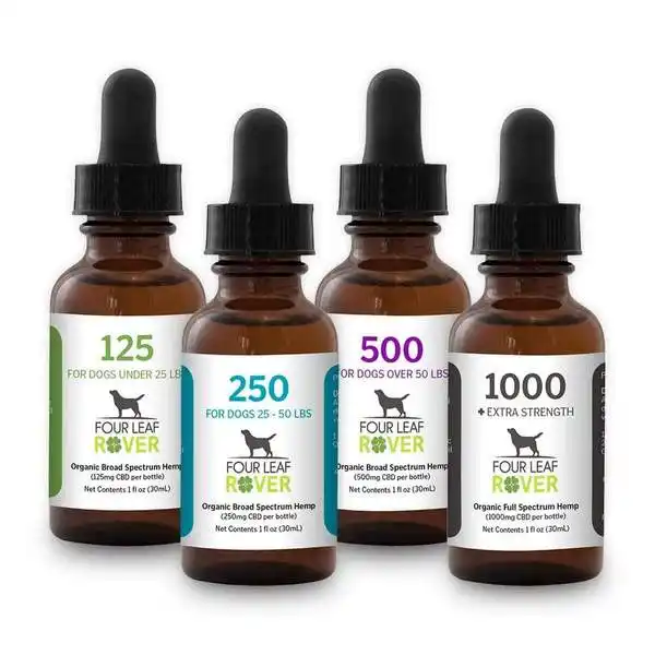 CBD Oil for Dogs