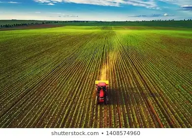 Cultivation