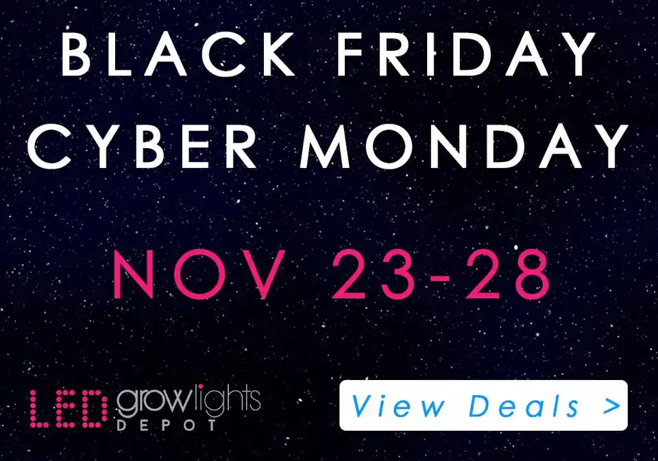 Cyber Monday Grow Tent Deals 2016