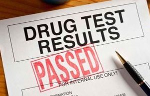 drug test cdb drug test cannabis marijuana