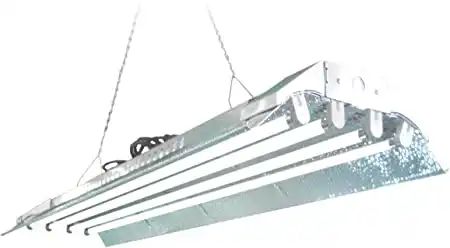 Fluorescent Grow Light
