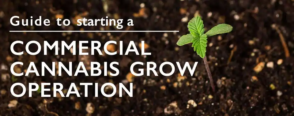 Grow-Op Investments
