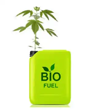 Hemp Oil Bio-Fuel