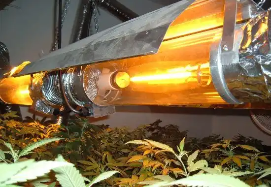 High Pressure Sodium Grow Lights