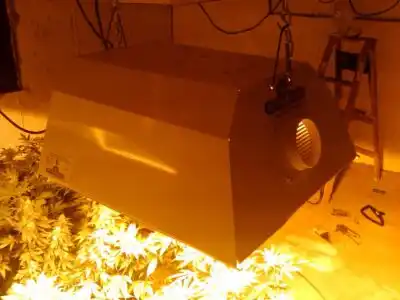 highpressure marijuana grow light for blooming