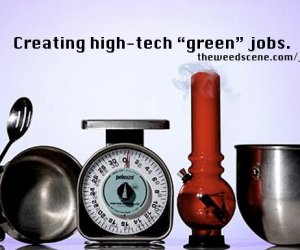 marijuana jobs growers jobs mmj companies hiring employment