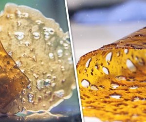 Best How is Shatter Made Recipe | Ultimate Cannabis Edible Guide cannabis recipe