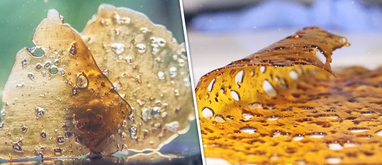 Best How is Shatter Made Recipe | Ultimate Cannabis Edible Guide cannabis recipe