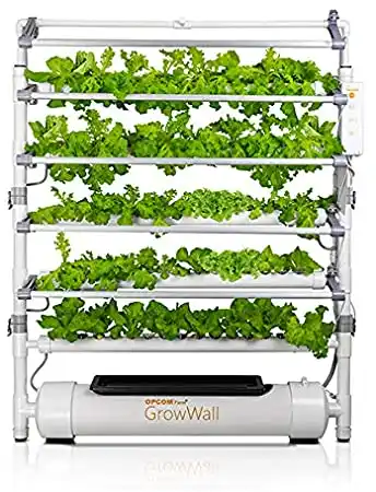Hydroponic Growing Systems