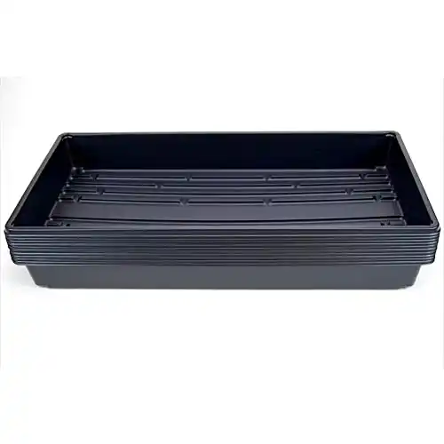 Hydroponic Trays
