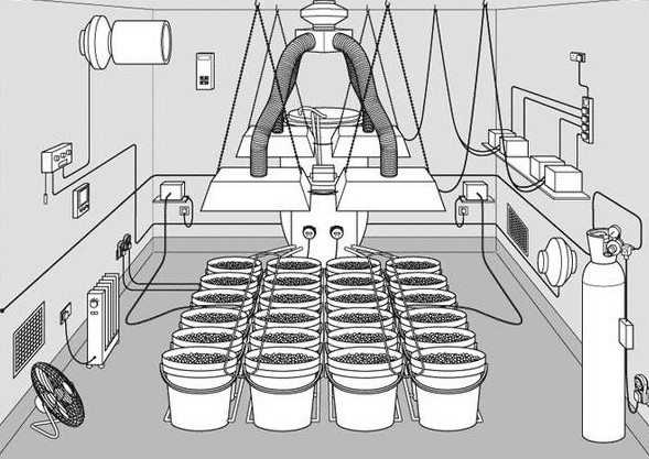 set up marijuana grow room hydroponics soil
