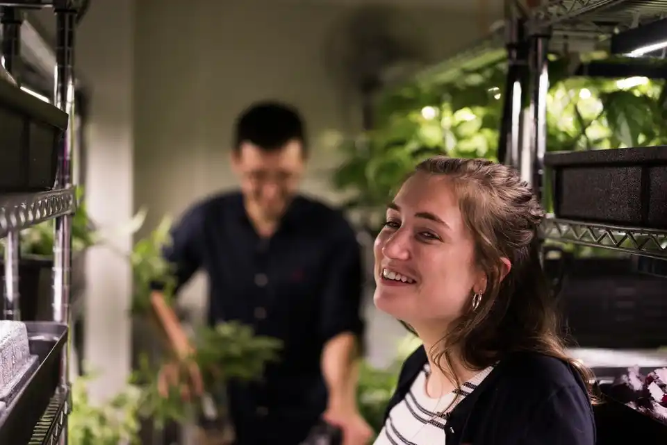 Indoor Grower - Internship