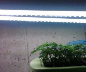 grow lights