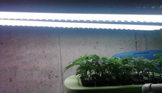 grow lights