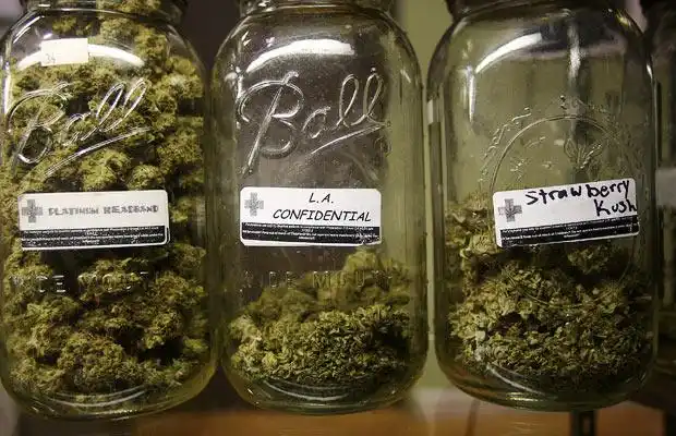 Marijuana as Medicine