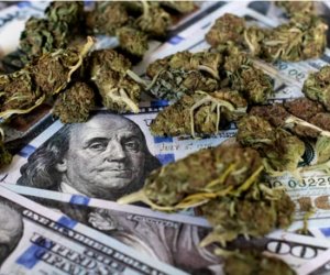 Marijuana Banks and Loans