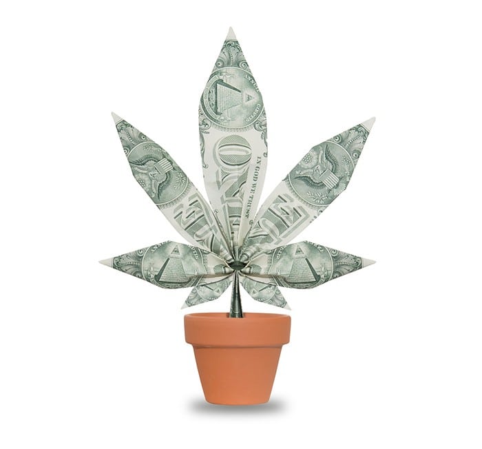 marijuana retailers deposit cash money into banks and safes 
