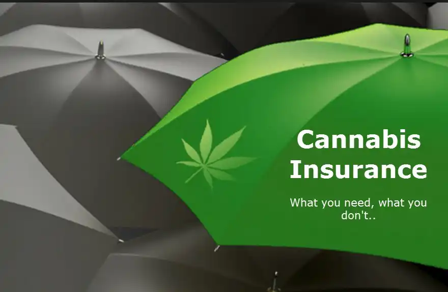 Marijuana Dispensary Insurance