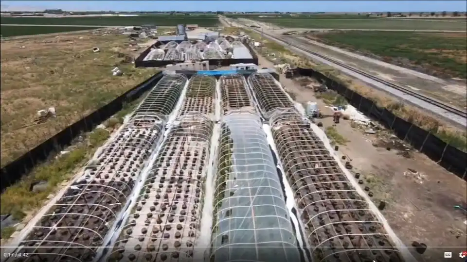 Marijuana Grow Busted