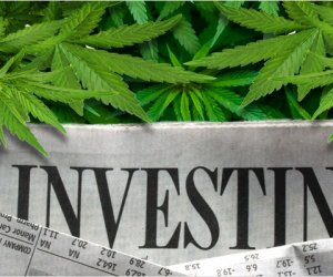 Marijuana Investors