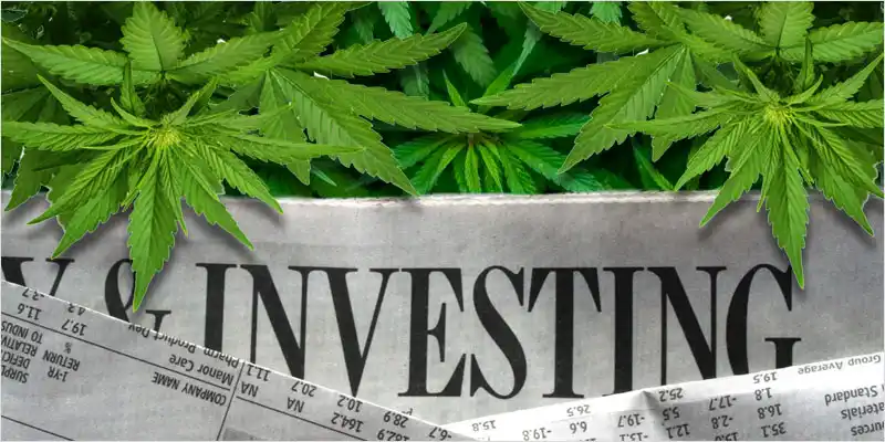 Marijuana Investors